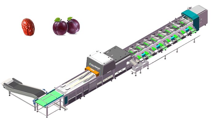Defining Optical Sorting Technology in Food Production – aghup